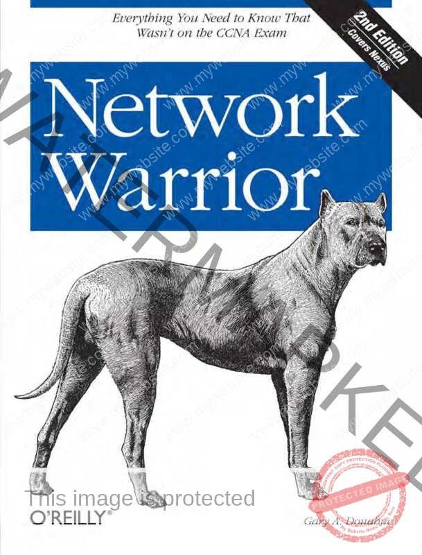 Network.Warrior.2nd.Edition