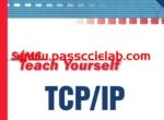 Sams Teach Yourself TCP/IP in 24 Hours, Third Edition