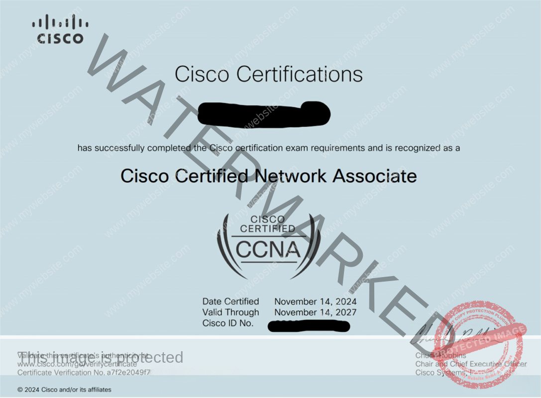 CCNA1118